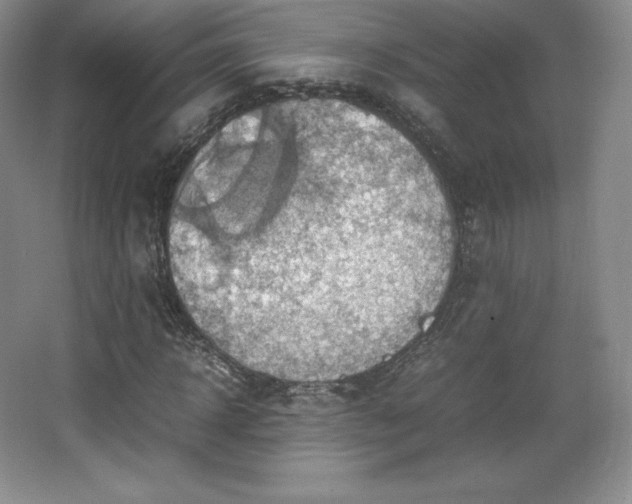 X0000067830918200604171123