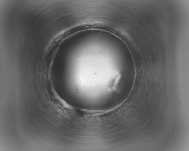 X0000067830920200604171123