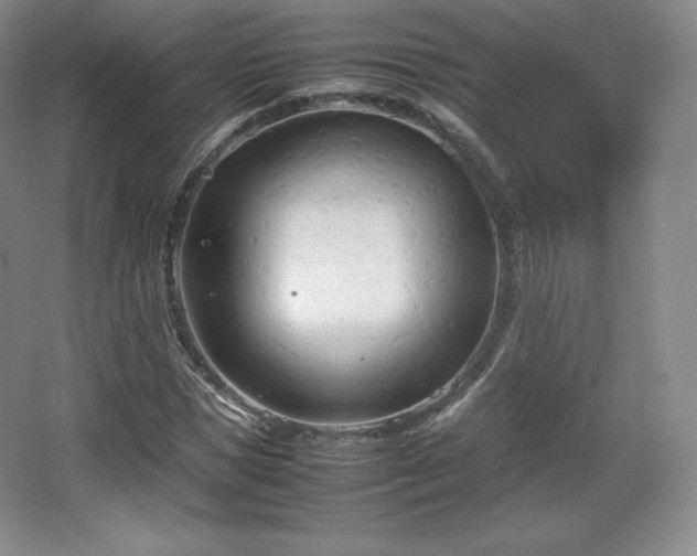 X0000067830921200604171123