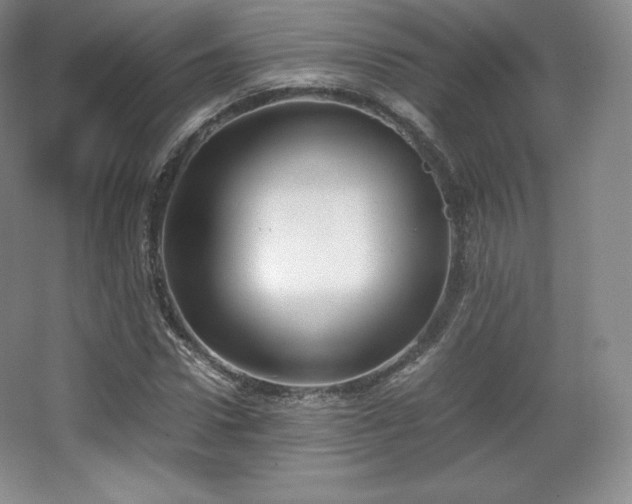 X0000067830922200604171123