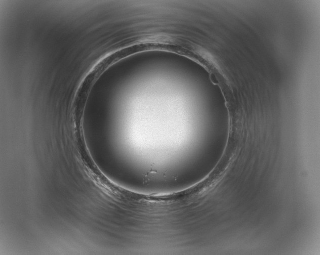 X0000067830923200604171123