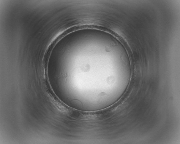 X0000067830925200604171123