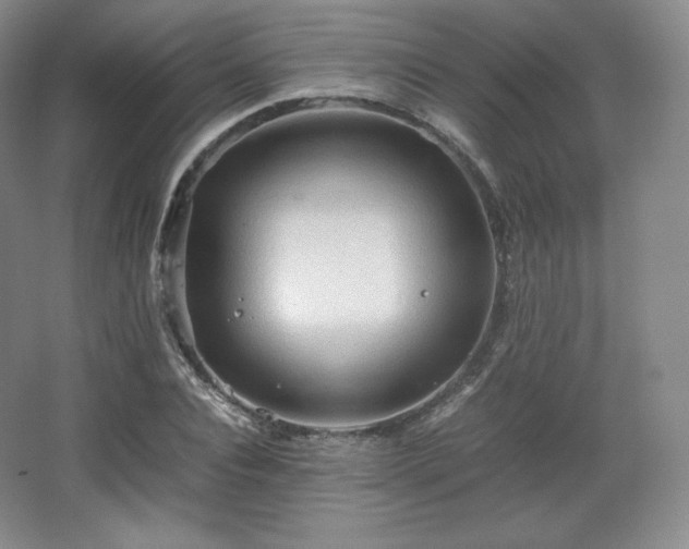 X0000067830928200604171123