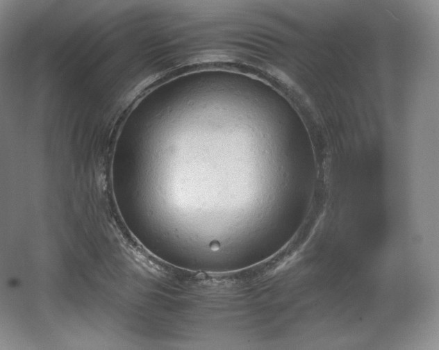 X0000067830929200604171123