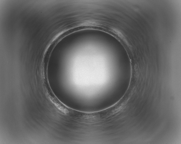 X0000067830931200604171123