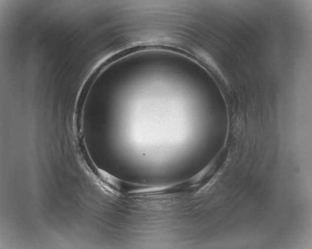 X0000067830932200604171123