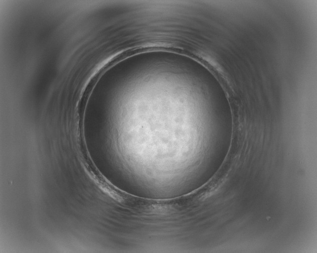 X0000067830933200604171123