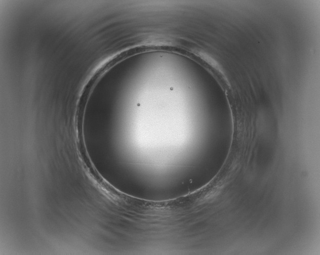 X0000067830935200604171123