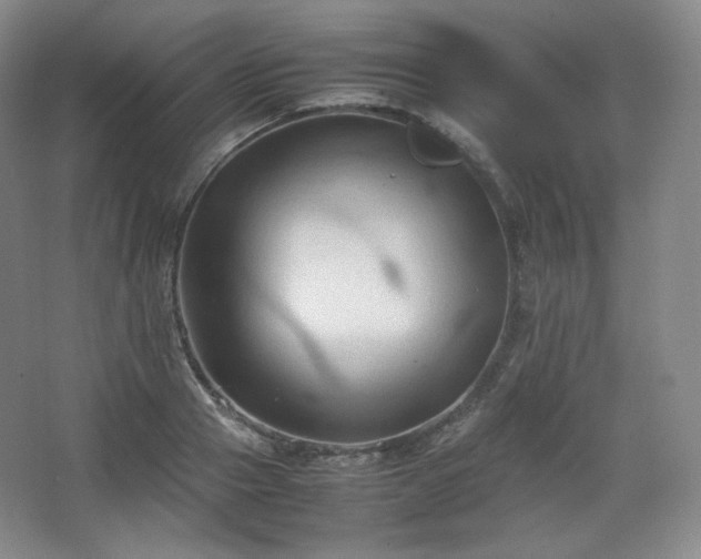 X0000067830937200604171123