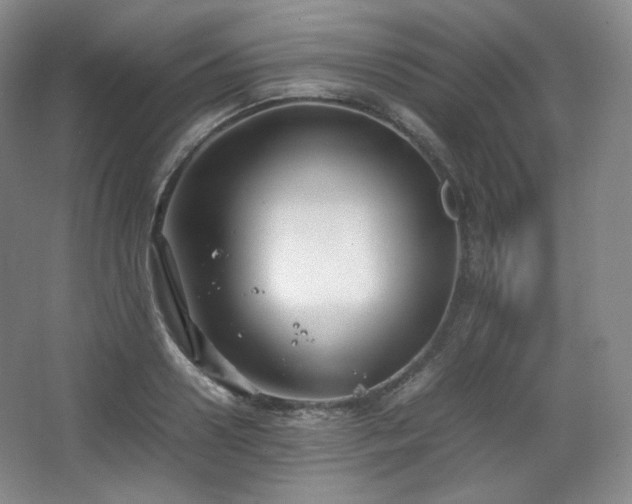 X0000067830938200604171123