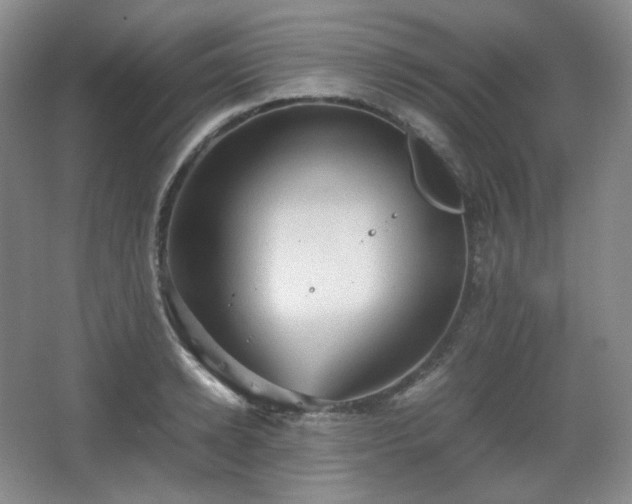 X0000067830942200604171123