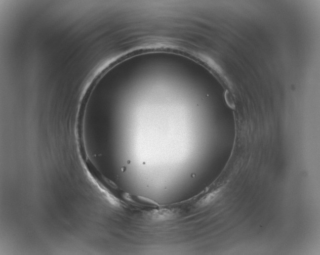 X0000067830943200604171123