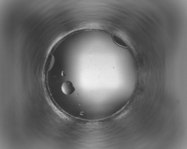 X0000067830944200604171123