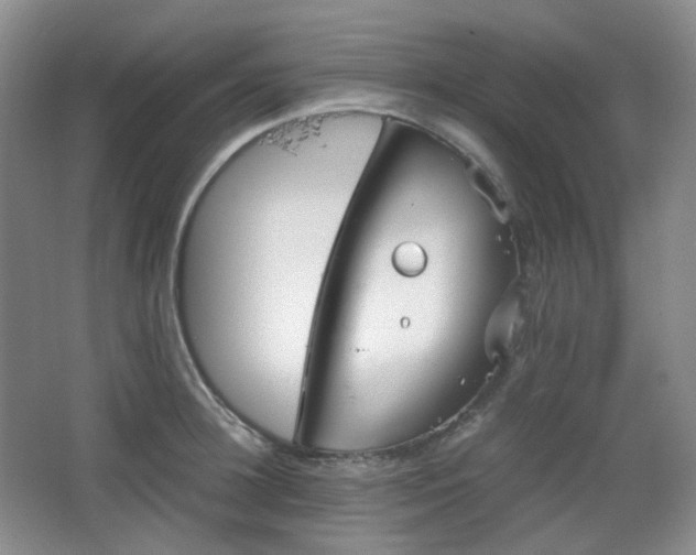 X0000067830948200604171123