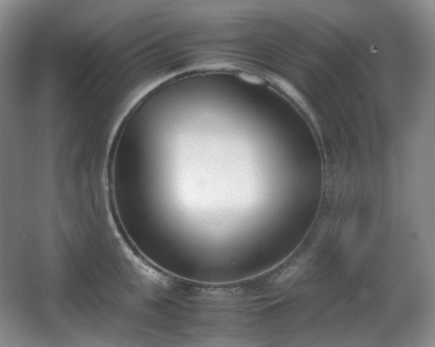 X0000067830951200604171123