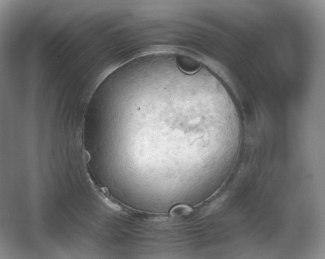 X0000067830953200604171123