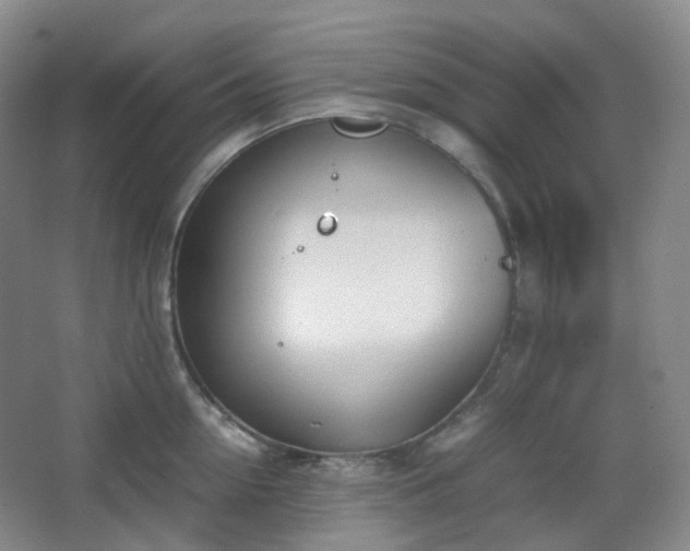 X0000067830954200604171123