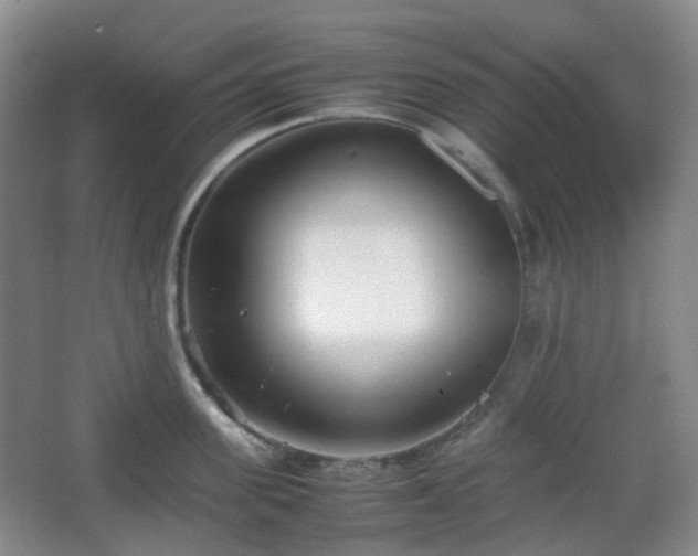 X0000067830955200604171123