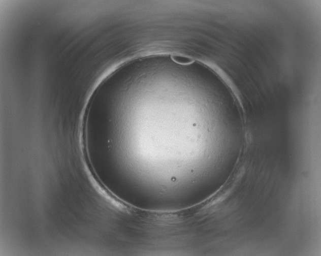 X0000067830957200604171123