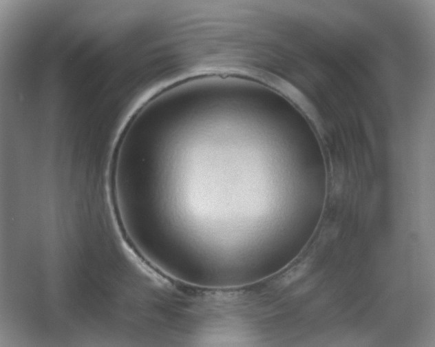 X0000067830958200604171123