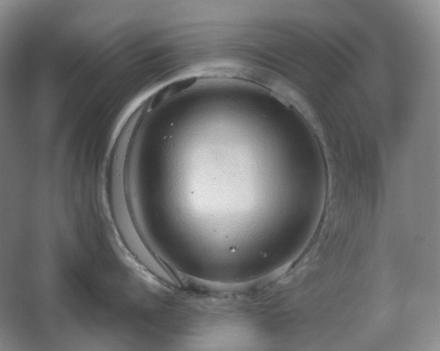 X0000067830960200604171123