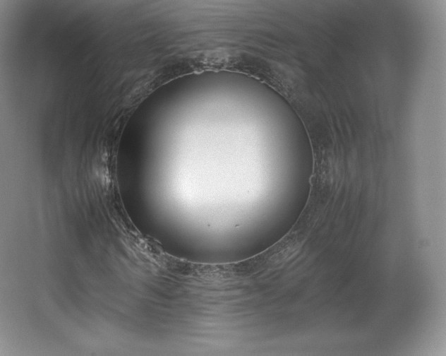 X0000067830962200604171123