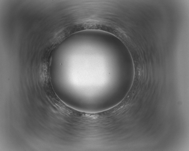 X0000067830964200604171123