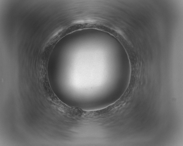 X0000067830967200604171123