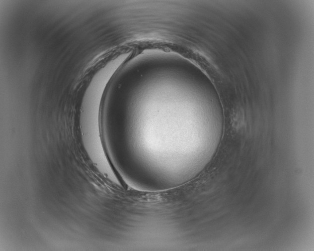 X0000067830968200604171123