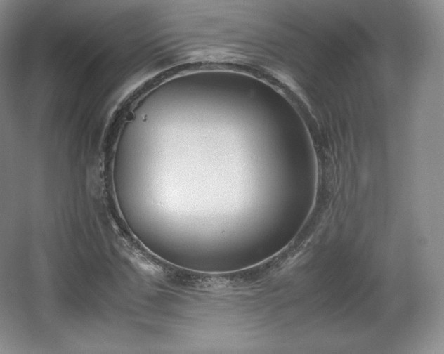 X0000067830971200604171123