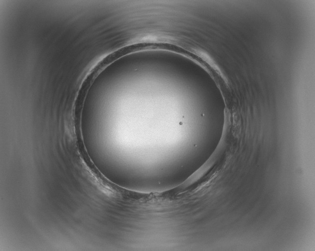 X0000067830972200604171122