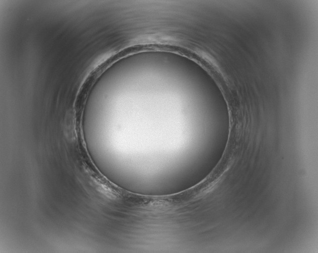 X0000067830974200604171122