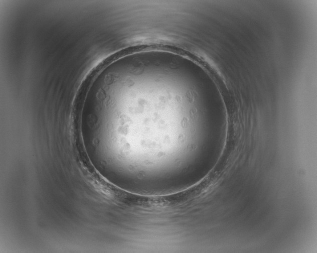 X0000067830975200604171122