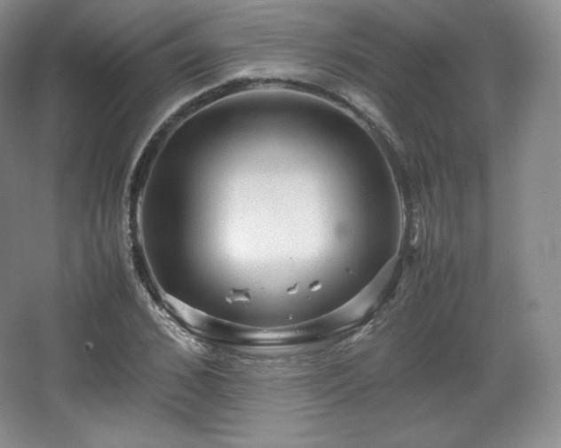 X0000067830976200604171122