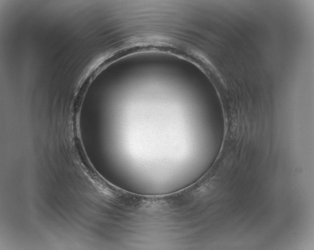 X0000067830978200604171122