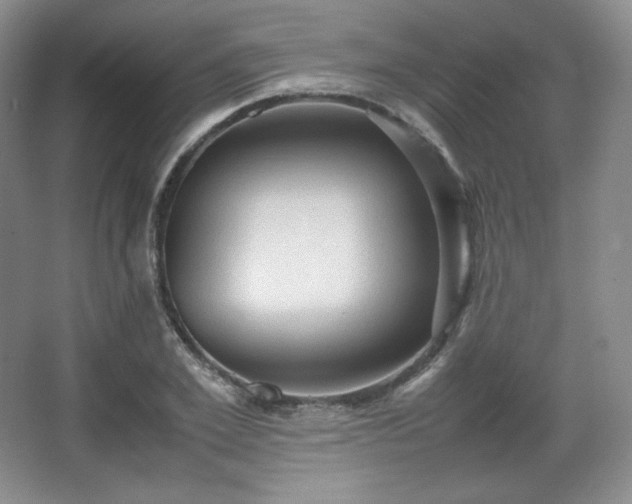 X0000067830981200604171122