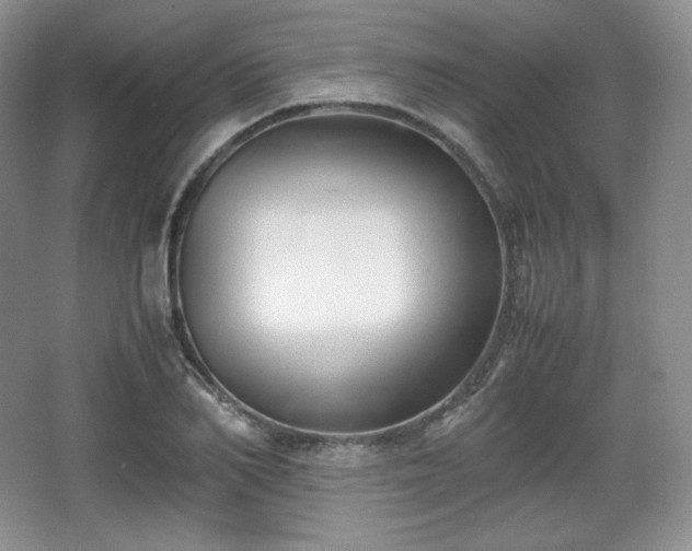 X0000067830982200604171122