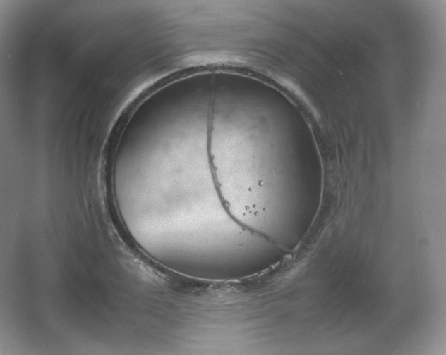 X0000067830983200604171122