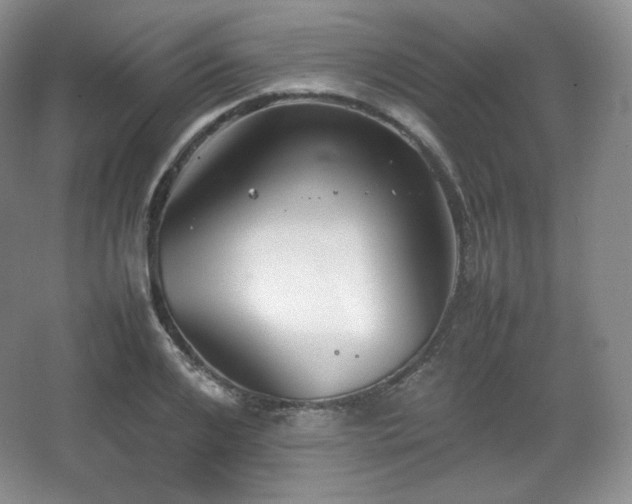 X0000067830984200604171122