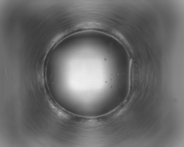 X0000067830986200604171122