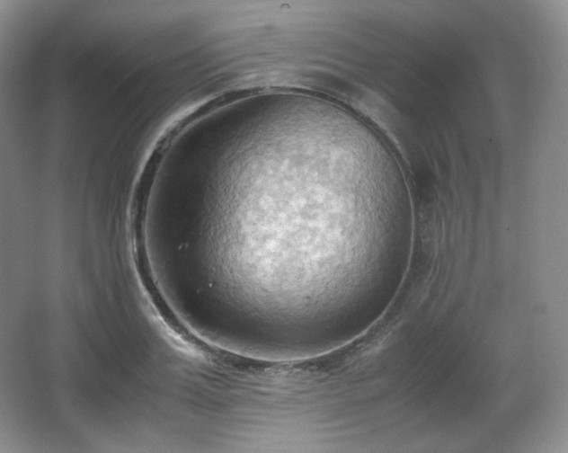 X0000067830987200604171122