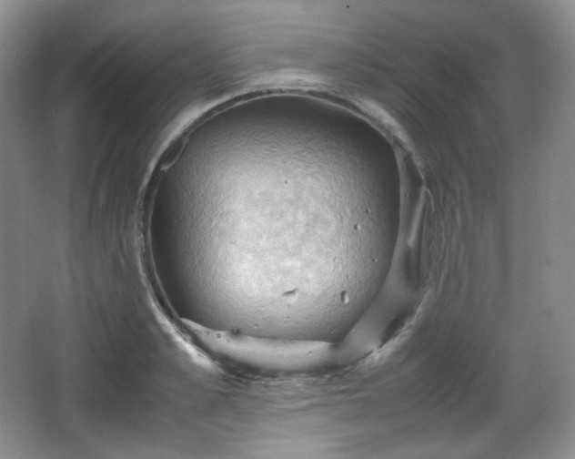 X0000067830989200604171122