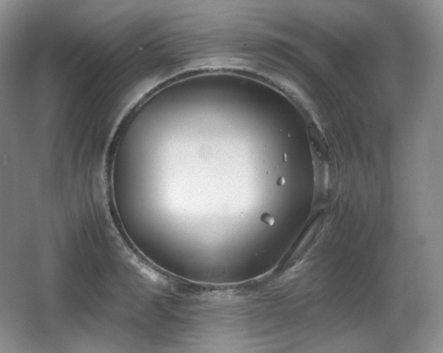 X0000067830990200604171122