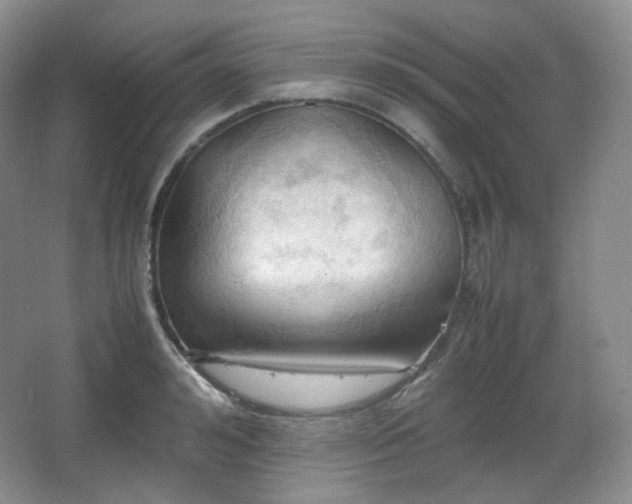 X0000067830992200604171122