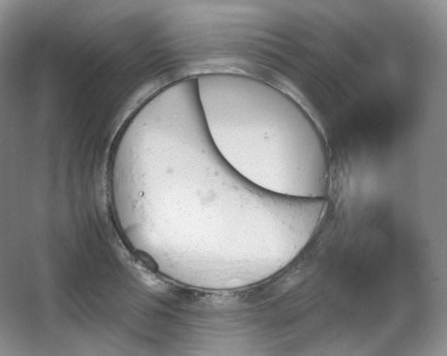 X0000067830994200604171122