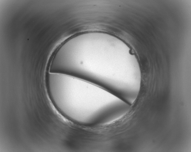 X0000067830995200604171122