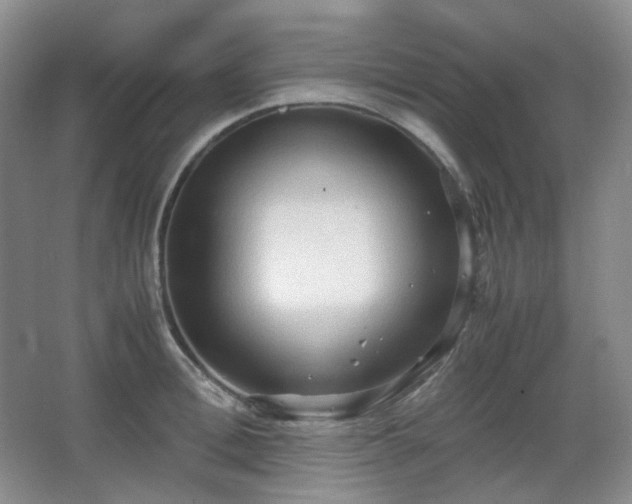 X0000067830996200604171122