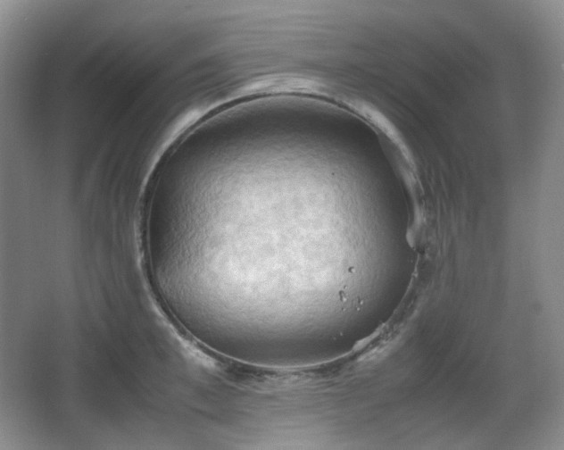 X0000067830997200604171122