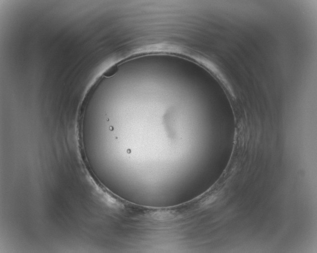 X0000067830998200604171122