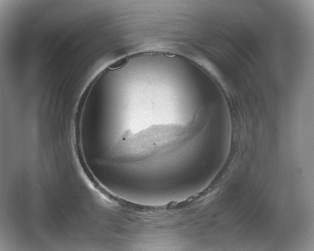 X0000067830999200604171122